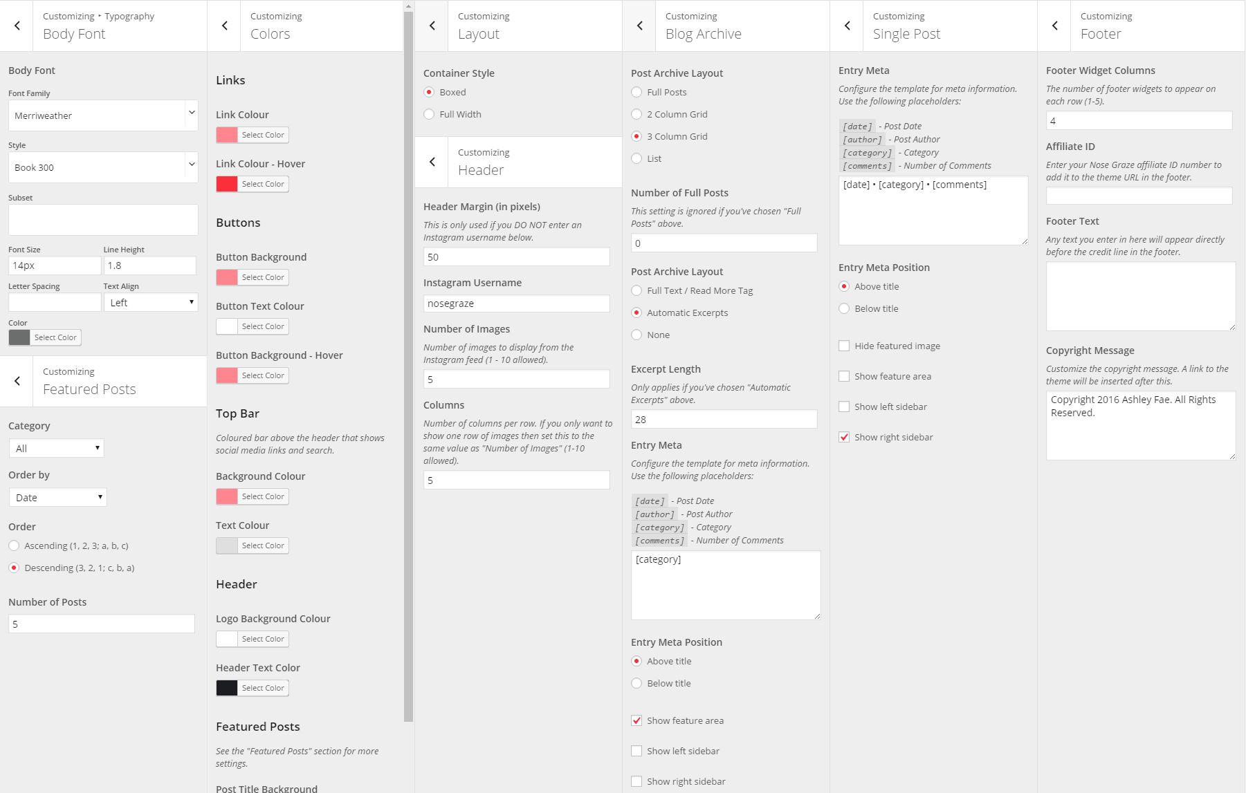 Bookstagram theme Customizer settings