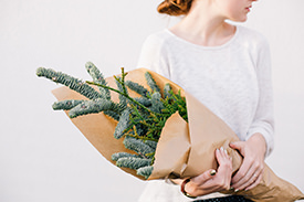 Photo of a woman holding plants